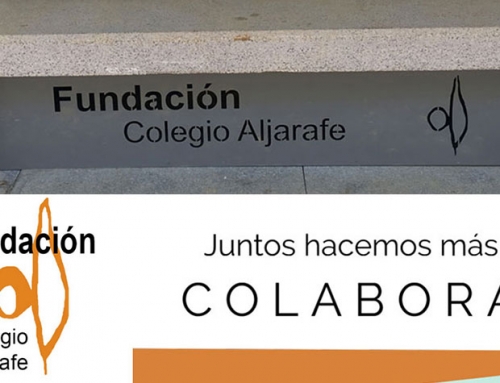 Aprobado el Plan de actuación de 2019 de la Fundación